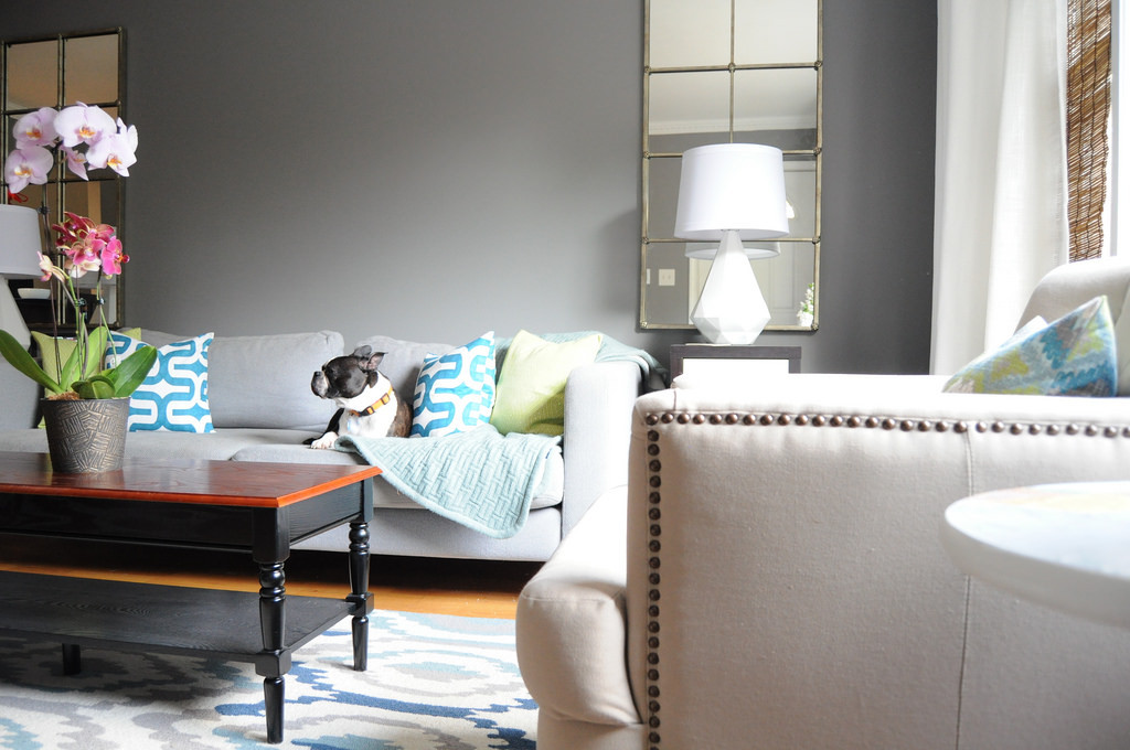 Modern living room with gray walls